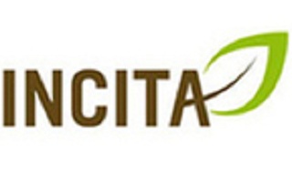 Helseforetaket Incita AS